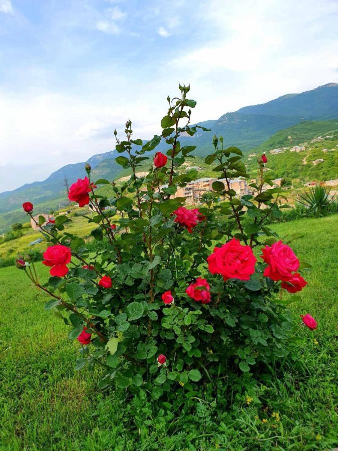 Guest House Ijevan'S Garden Exterior foto