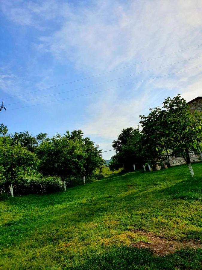 Guest House Ijevan'S Garden Exterior foto