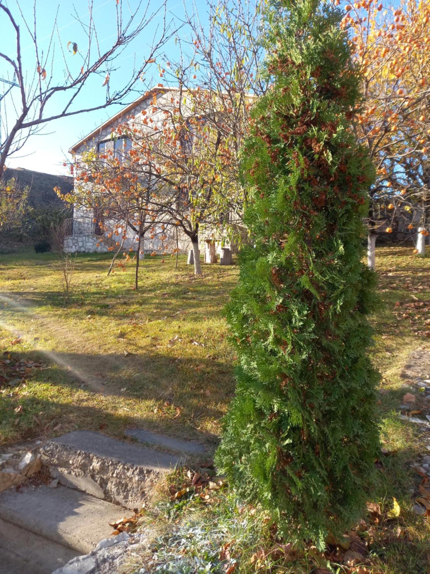 Guest House Ijevan'S Garden Exterior foto