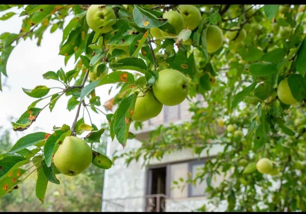 Guest House Ijevan'S Garden Exterior foto
